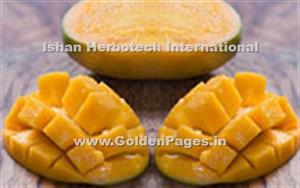 > </div>
<div class=